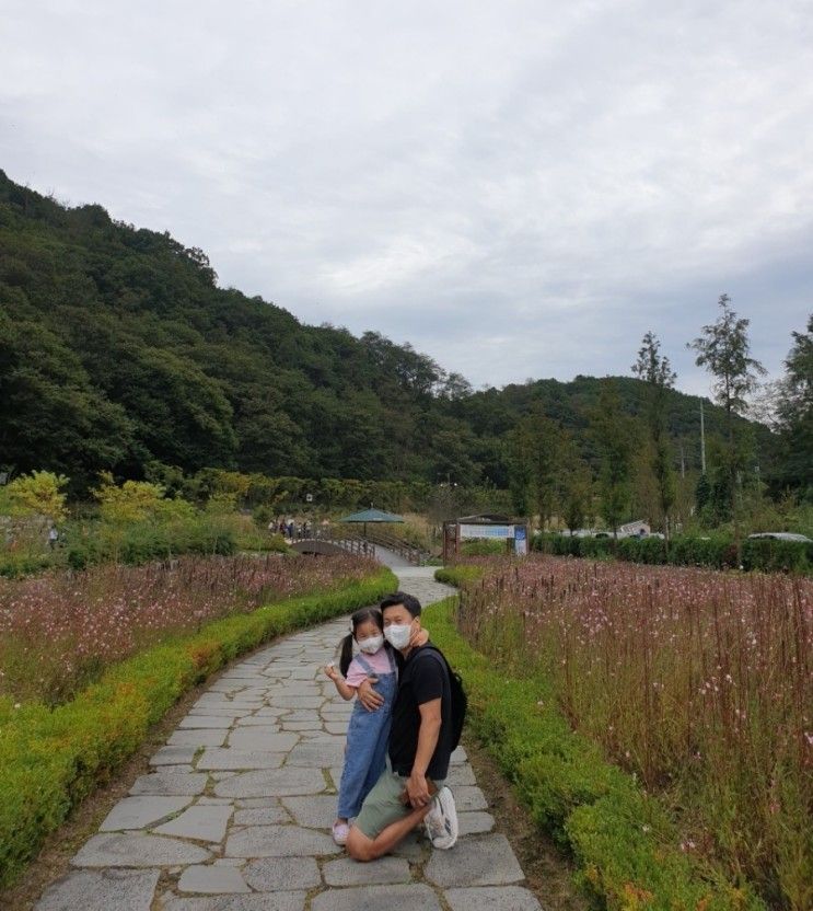 파주 율곡수목원 아이와 가볼만한곳 꽃 구경 산책및 유아숲...