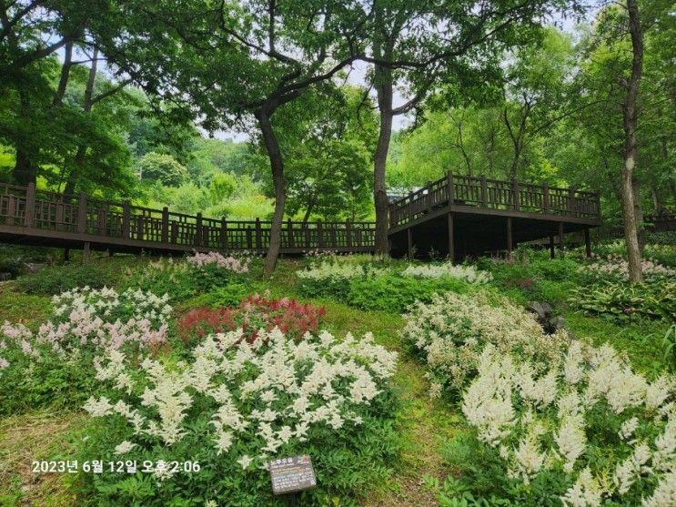 아이와 가볼만한 산책하기 좋은 파주 율곡수목원