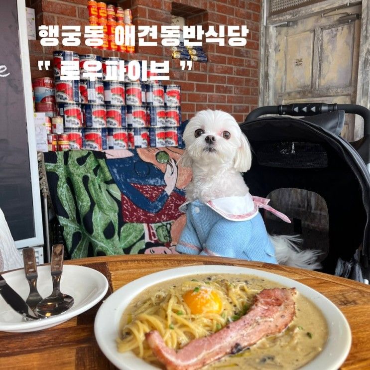 행궁동 애견동반식당 로우파이브 , ft.파스타 맛집