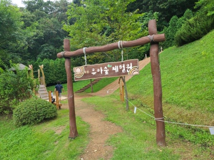 파주 율곡수목원 무료입장 유아숲체험원에서 아이랑 뛰어놀기