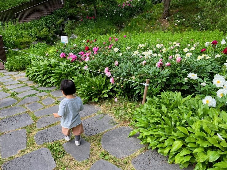 파주 율곡수목원 _ 19개월... 아기랑 수목원 나들이 ( 유아휴게...