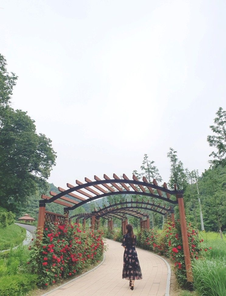[나들이] 율곡수목원 (파주, 자연, 숲, 꽃밭, 식물원, 서울 근교)
