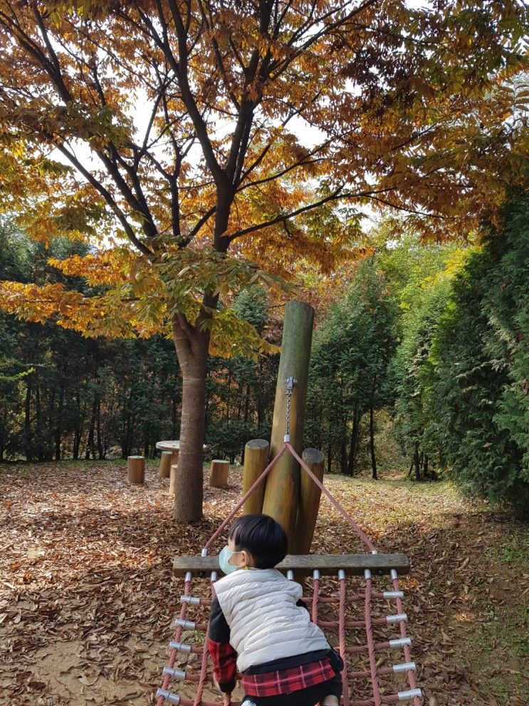 [율곡수목원]다둥맘이 추천하는 아이들과 갈만한 곳