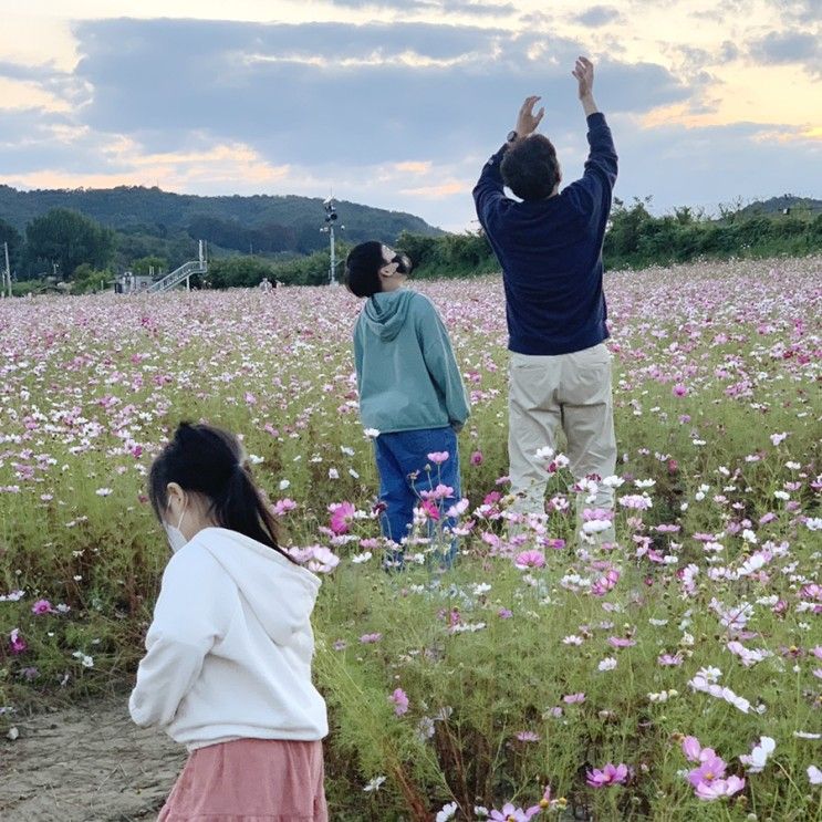 파주 사진찍기좋은곳 드라이브 코스 율곡수목원...