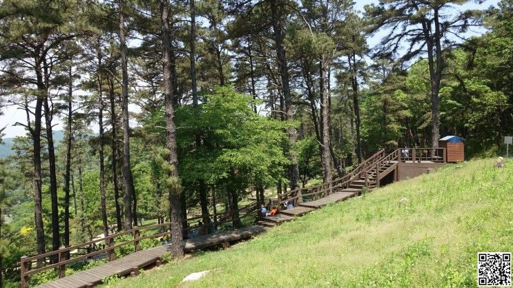 파주 율곡 수목원(栗谷 樹木園)  둘러보기