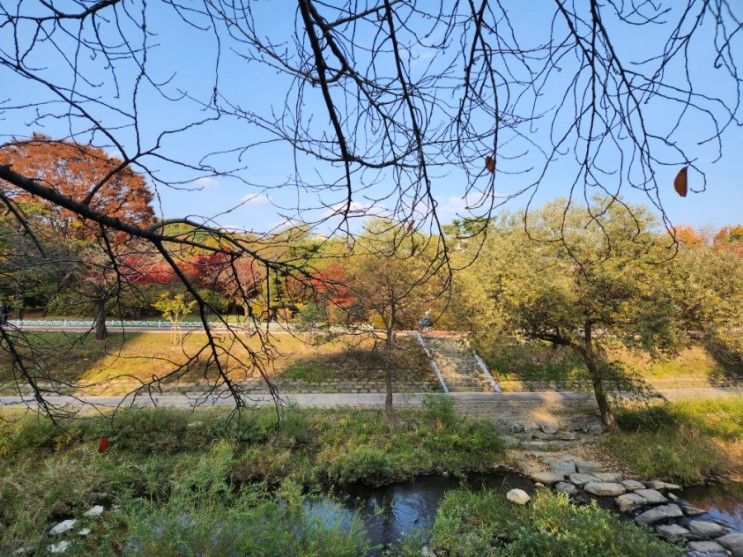 [경기도 가을산책] 수원 방화수류정 근처&분당중앙공원... 