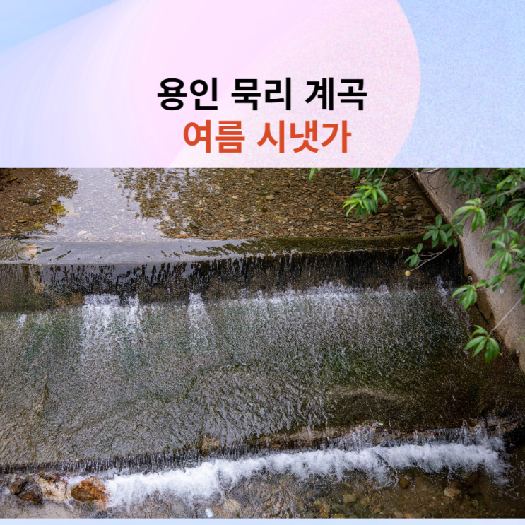 용인 묵리 계곡의 여름 풍경