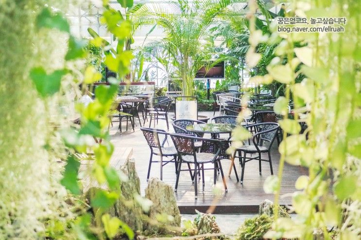영주 카페 사느레정원 초록초록 평화로운 식물원에서 커피를