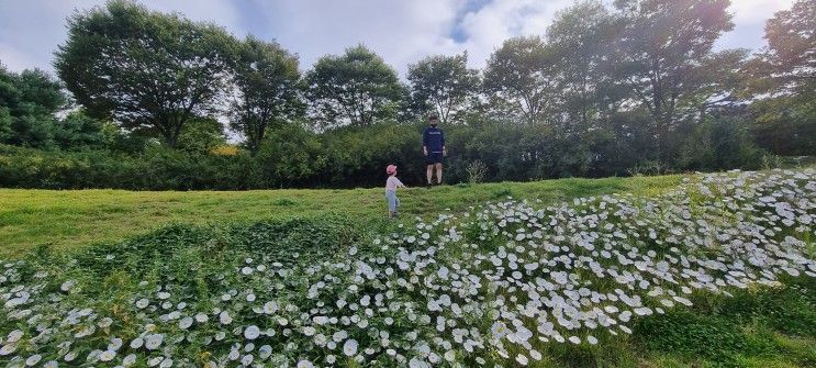 경기 광주 곤지암 아이랑 도자공원 놀고 온 후기