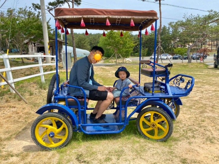 경북 영천 아이랑 당일치기 여행 (운주산 승마장, 임고서원, 화랑설화마을)