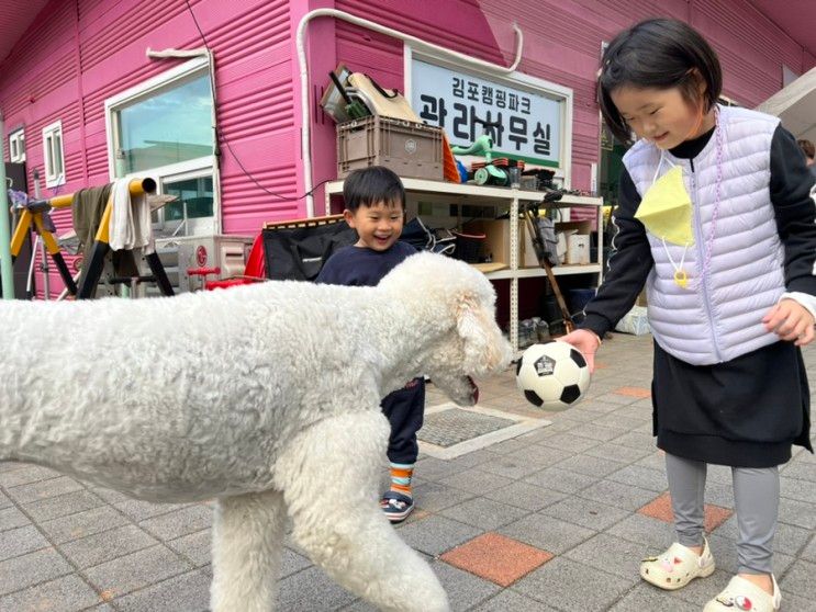 김포 캠핑장 캠핑파크 1살, 4살 아기랑 가을캠핑!