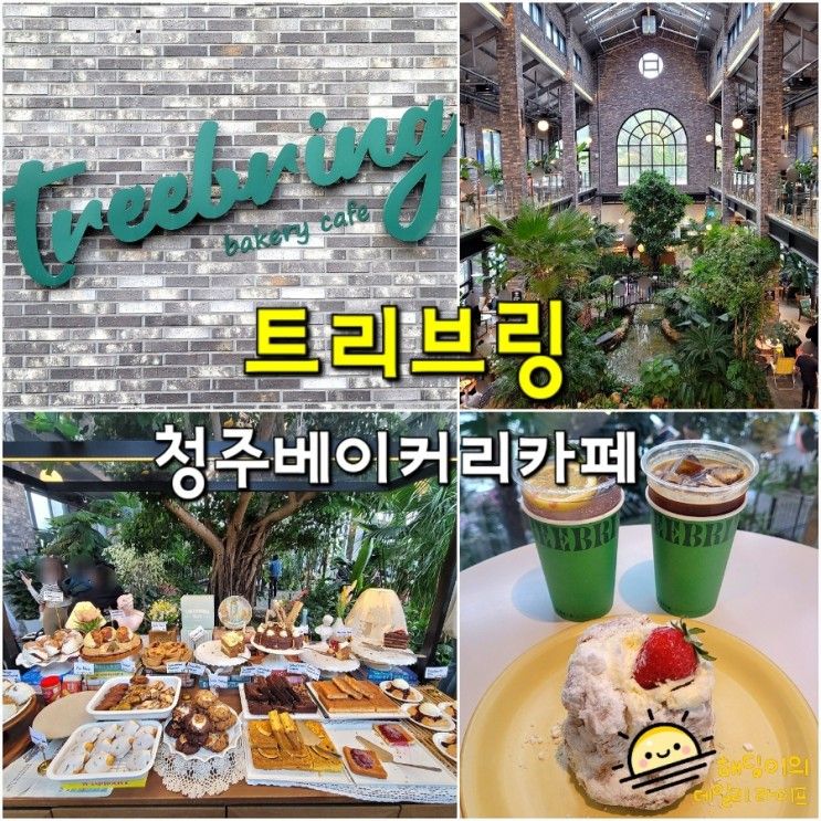 청주 카페 트리브링 Treebring - 숲을 가져다놓은 대형...