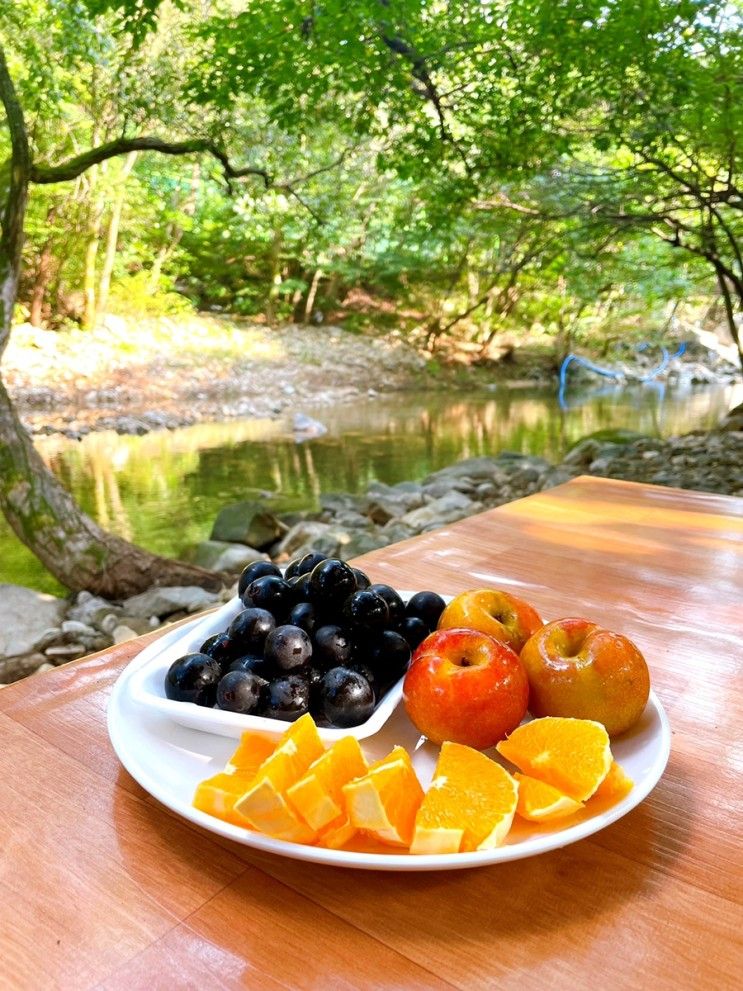 서산 [가야산 휴 펜션] 에서 즐기는 계곡 힐링 - ꕤ