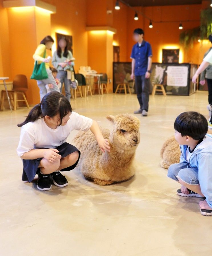 파주 실내동물원 테이블에이 어린이날 아이랑 이색데이트