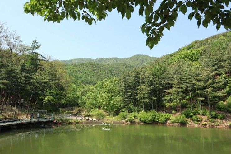 김포캠핑파크 시설좋은 김포캠핑장