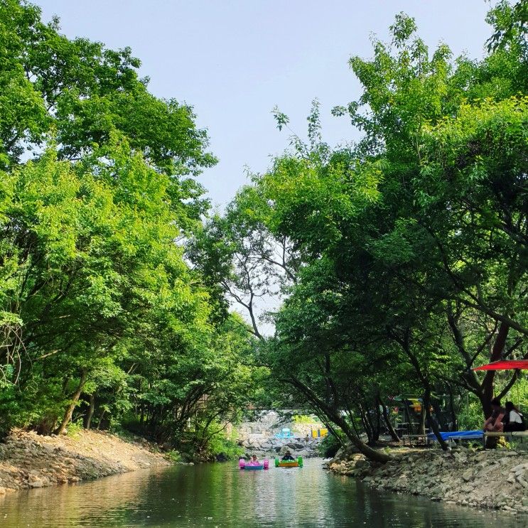 가야산 휴 펜션 페달보트 개시♂️