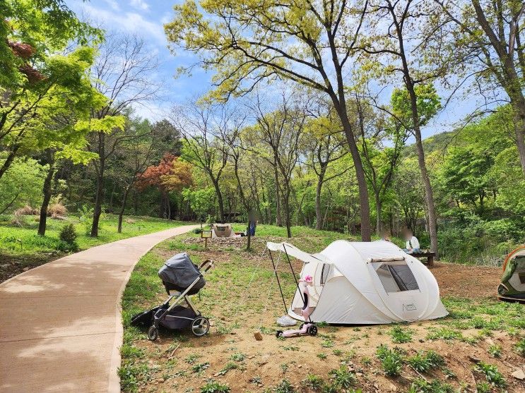 김포공원 아이와 가볼만한곳 태산패밀리파크 텐트 피크닉 장소...