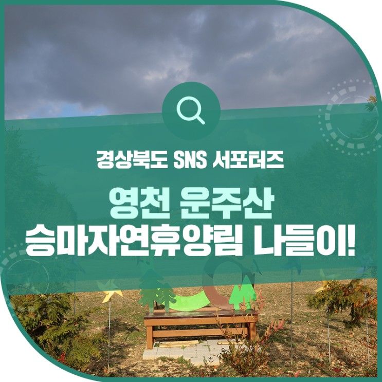 영천 아이들과 가볼만한 곳 운주산 승마자연휴양림 숲속 놀이터!