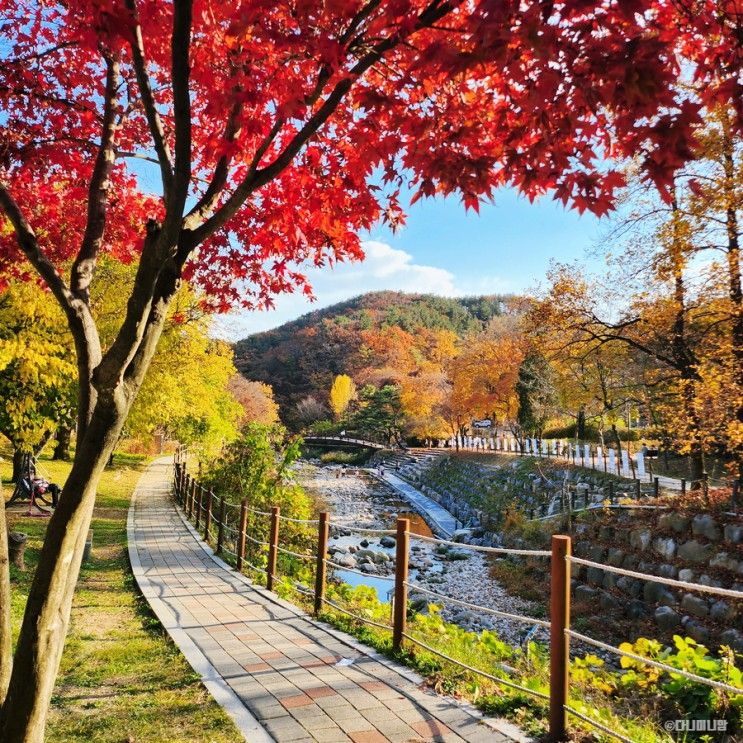 양평 아이와 가볼만한곳 - 용문산관광단지 (단풍명소 용문사...