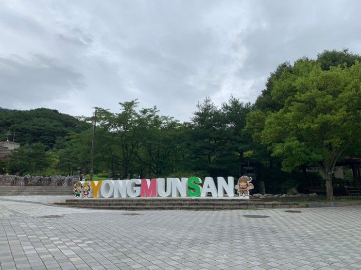 [경기도 양평] 서울근교 가볼만한곳 용문산관광단지