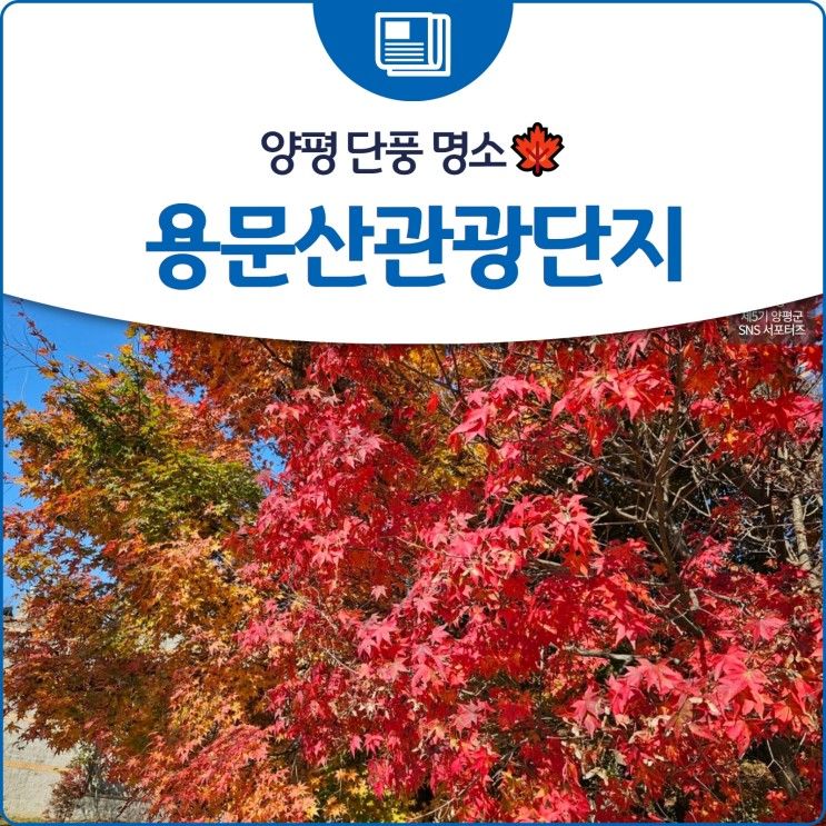 양평 단풍 명소 '용문산관광단지'