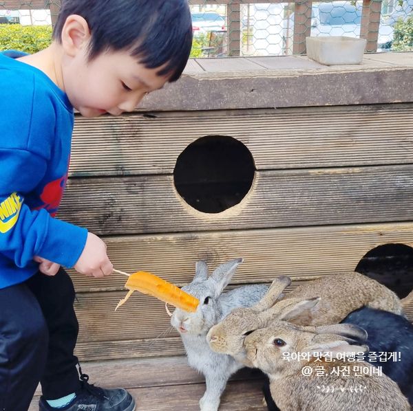 파주 헤이리마을 석죽재물고기나무 동물체험 이색 카페