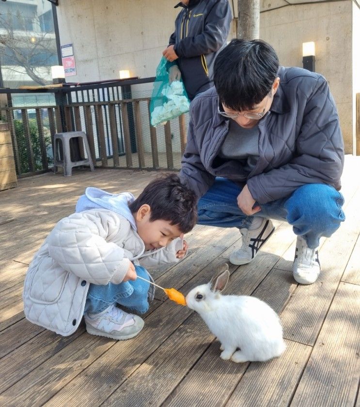 아기랑 파주 동물 체험 가능한 이색 카페 석죽재물고기나무