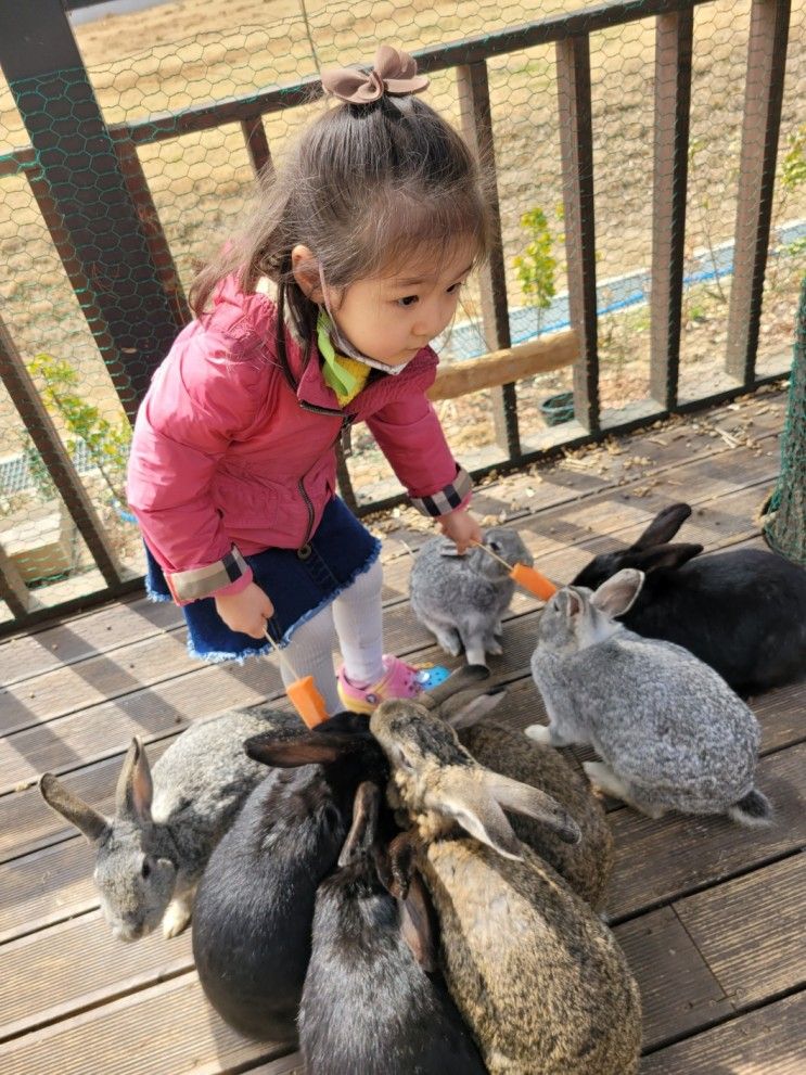 체험 파주농장 헤이리아이랑가볼만한곳 석죽재물고기나무카페