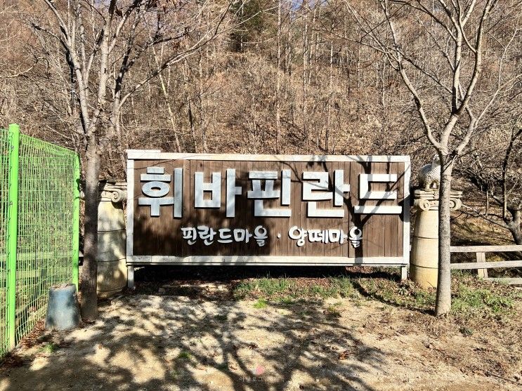 홍천 | 휘바핀란드,가족과 함께 가기좋은 귀여운 양과...