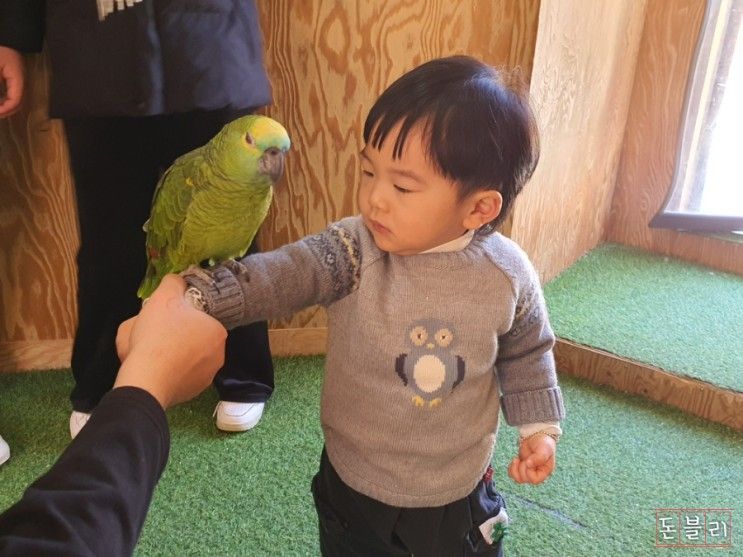 강원도 홍천 아기랑 가볼만한곳 휘바핀란드 실내동물원