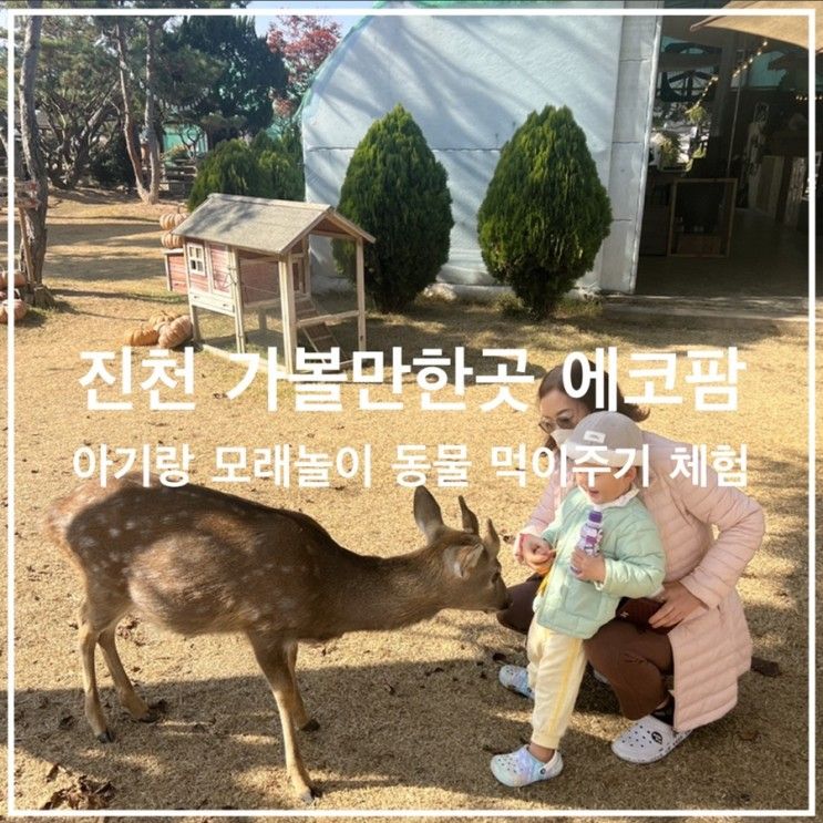 진천 가볼만한곳 에코팜 아기랑 너무좋은 곳