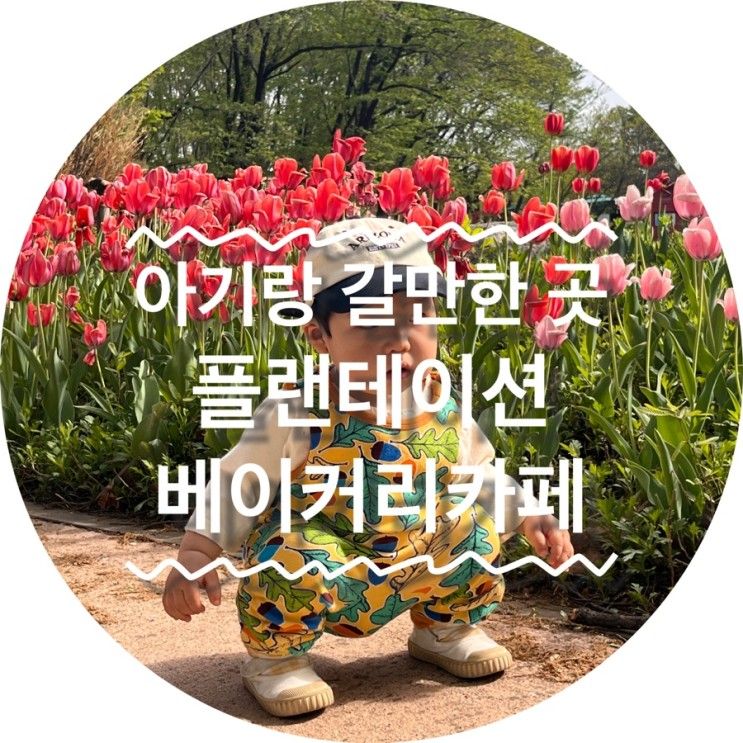 20개월 아기랑 갈만한 곳 : 고양 플랜테이션 베이커리 카페...