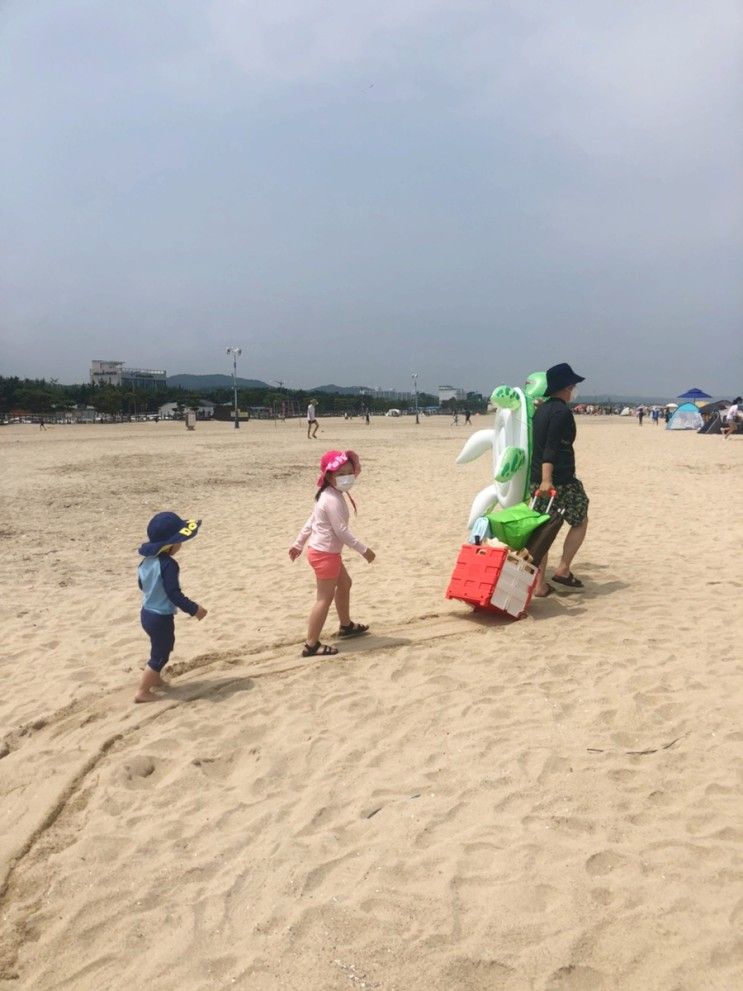 아이랑 강원도 1박2일 여행 / 2일차_하조대 해수욕장 아이들...