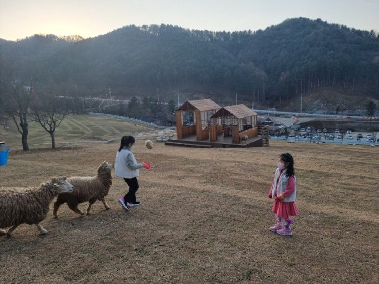 홍천 휘바핀란드 with플레이정글 다녀왔어요