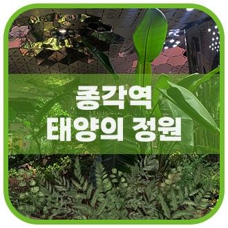 [서울 정원] 지하에 자연 햇빛이 담긴 종각역 태양의 정원