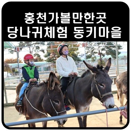 홍천가볼만한곳  동키마을  아이랑 가기 좋아요