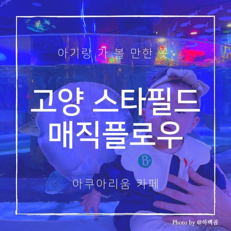 아기랑 갈만한 곳 - 고양 스타필드 아쿠아리움카페 매직플로우