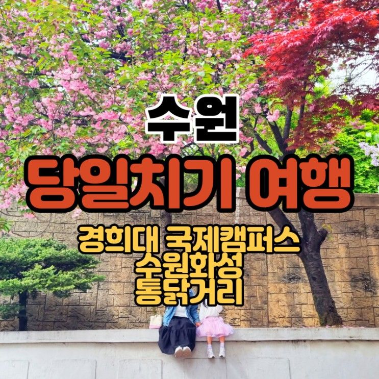 수원 당일치기 여행 경희대국제캠퍼스,화성,통닭거리