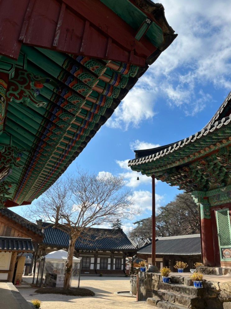 [전남 구례] 섬진강재첩국수 / 목월빵집 / 천은사 템플스테이...