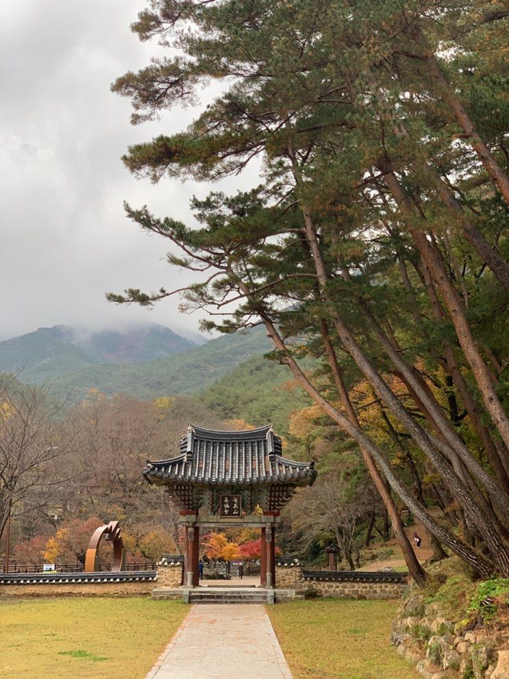 구례 1박 2일 :: 천은사 템플스테이 혼자 다녀온 후기