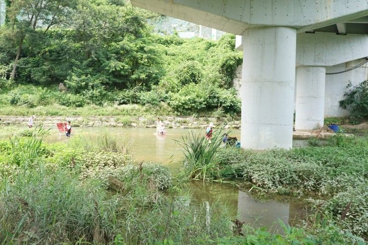 홍천 팔봉산 :: 유원지 구경하고 온 후기