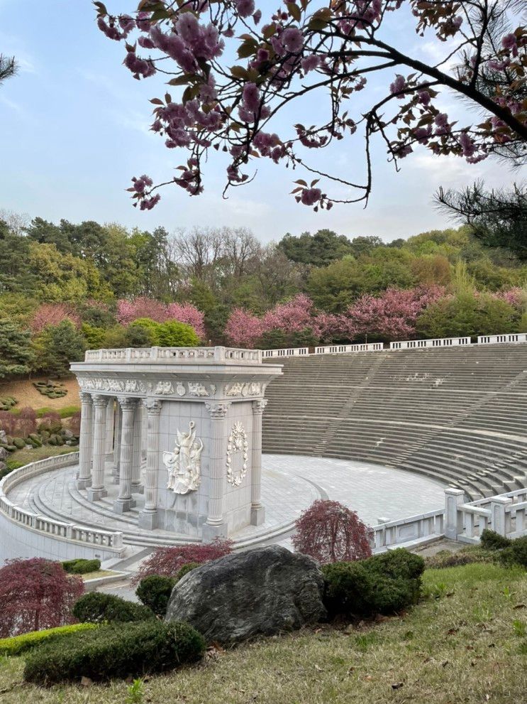 2023 경희대학교 국제캠퍼스 겹벚꽃 실시간 | 노천극장...