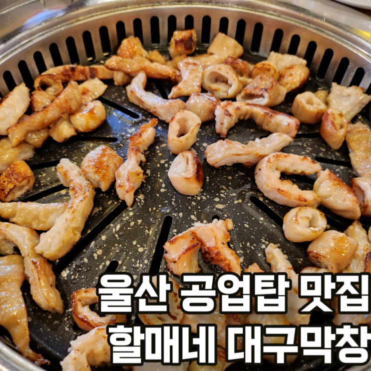 아이들은 위한 식당 공업탑 할매네대구막창 공업탑점 솔직후기