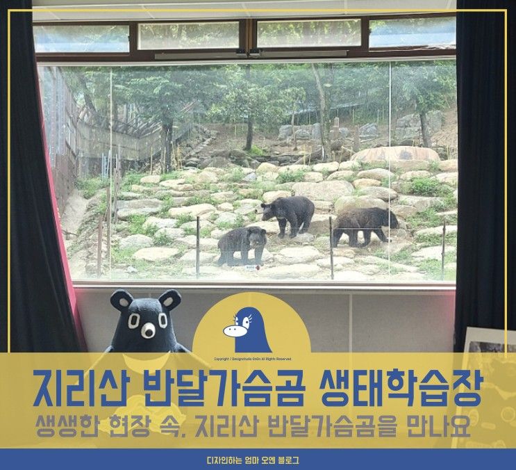 지리산 반달가슴곰 생태학습장 : 반달곰을 만나러 가요