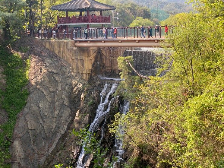 [제천]산책하기 참 좋은 의림지!