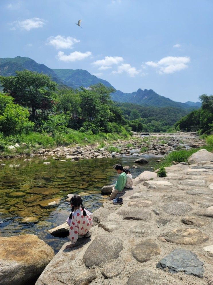 덕주 마애불 트레킹, 옥순봉 출렁다리, 제천 의림지