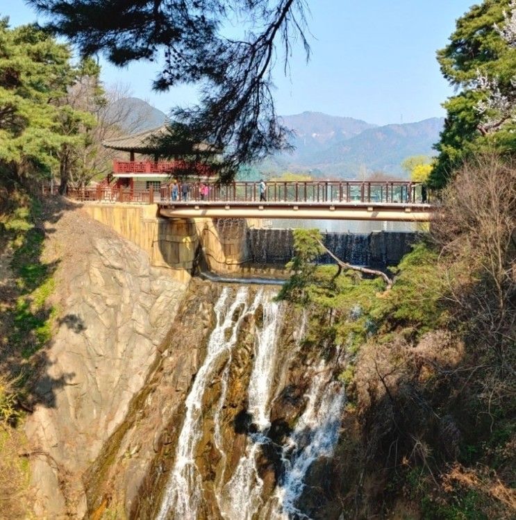 충북 제천 가볼만한곳 당일치기 5코스 비룡담저수지 의림지...