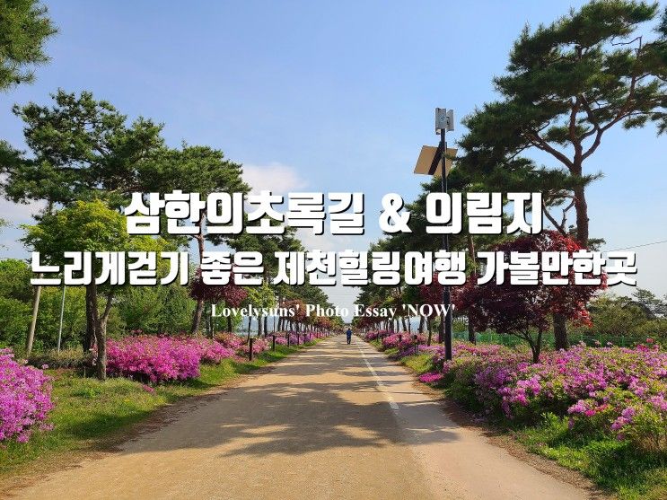 전망대형육교와 삼한의 초록길 & 의림지와 용추폭포유리전망대