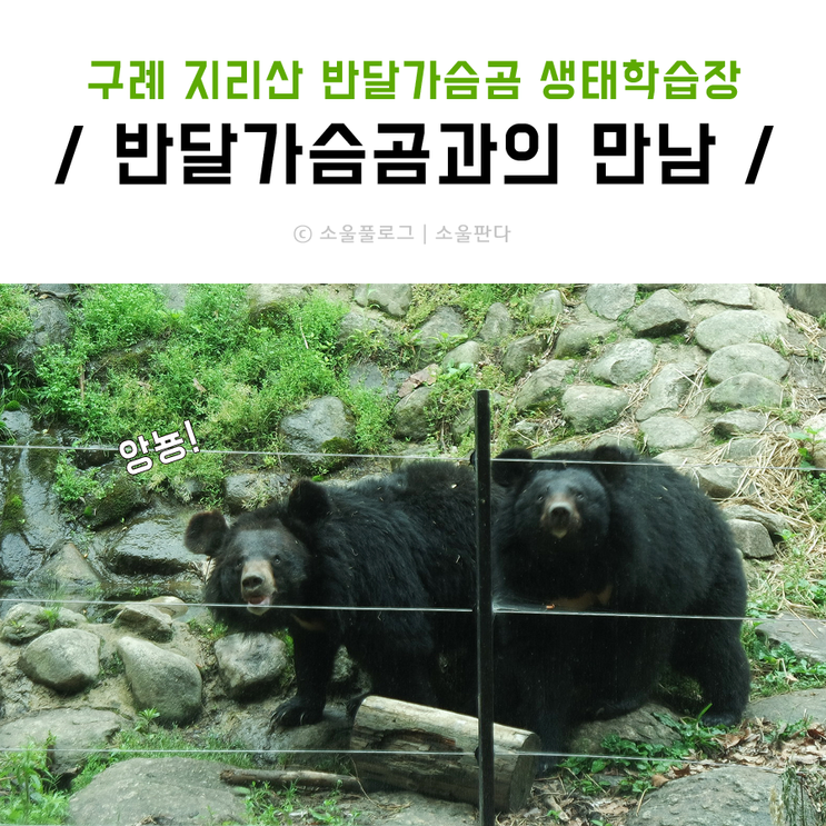 구례 가볼만한곳 지리산 반달가슴곰과의 만남 생태학습장...