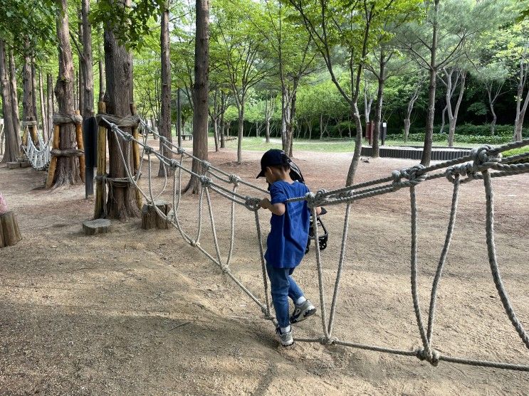 월드컵공원 유아숲체험원 & 평화의공원 모험놀이터